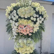Sympathy 18