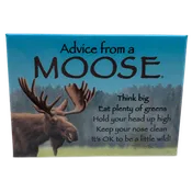 Advice From A Moose Magnet