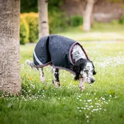 Amigo® Ripstop Waterproof Dog Blanket