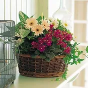 Blooming Basket Garden
