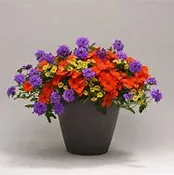 12" Patio Planter