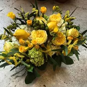 Color Me Lemon Yellow