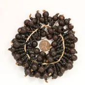 Seeds, Peruvian Two Sizes/Types Strung Together on 9-inch Section of Cord