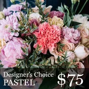 Designer Choice Pastel Colors