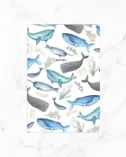 Blank Notebooks/ Journals
