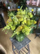 Chartreuse Dreams — Viroqua Floral