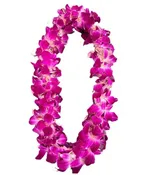 GRADUATION ORCHID LEIS