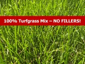Green Resistor Tall Fescue
