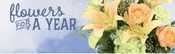 12 MONTH SUBSCRIPTION