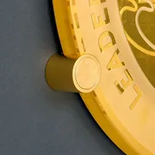Gold Gilded Type B for 8" &amp;amp; 16" Round Plaques