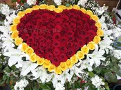Casket Sprays & Flowers  03 / CS375-WMR1