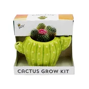 Cactus Grow Kit | Mini Ceramic Planters (4 Pack)