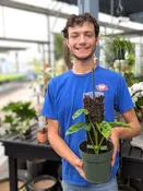 Make a Moss Pole Workshop 10am on October 10th — Hoerr Nursery