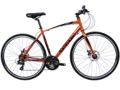 Forza - Fitness / Hybrid