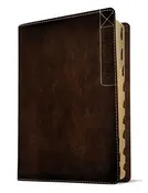 Every Man’s Bible NLT, Large Print, Deluxe Explorer Edition - Rustic Brown