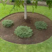 16' Sure-Loc Edging - Black