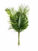 Aloha Mix Foliage, 10 Bouquets