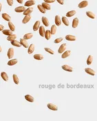 Organic Heirloom Rouge de Bordeaux Wheat Berries