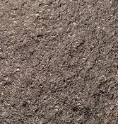 Mushroom Compost