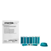 Caribbean Blue Silk Thread Assortment EDS0133