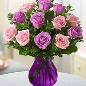 Rose Romance