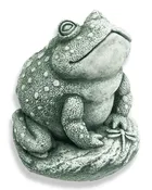Angus the Toad