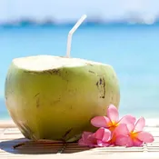 Coconut + Praline