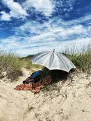 French Shepherd Umbrella — Maison Bergogne