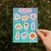 Colorado Wildflowers Sticker Sheet