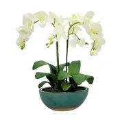 22" Faux White Orchid in Glossy Green Ceramic With Terracotta Base