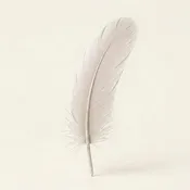 1st Grade Dyed Turkey Quill Feathers