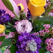 Florist Choice