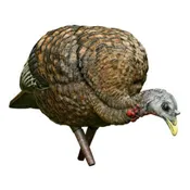 Avian-X LCD Feeder Hen Decoy
