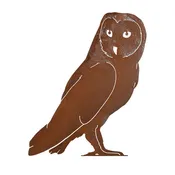 Barn Owl B728