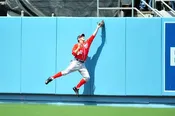 Backstop Padding with Grommets