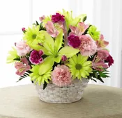 Basket of Cheer