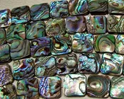 Abalone Beads #038