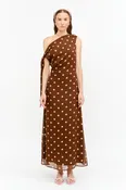 Brooklyn polka dot maxi dress dress in brown