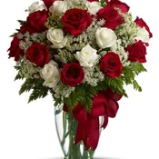Love's Divine - by Flower Sensation