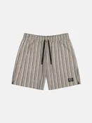 AUSTIN SHORTS YARN-DYE MINI VERTICAL STRIPES