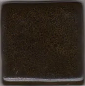 Coyote Texas 2-Step Oilspot MBG-141 Coffee Bean
