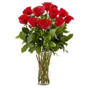 Long Stem Premium Red Roses