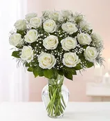 Pure Roses