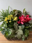Blooming Garden