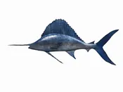 Atlantic Sailfish Iron Fish Sculpture