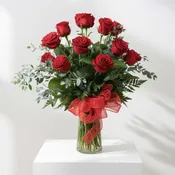 1 Dozen Long Stem Red Roses