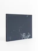 Christina Seely: Lux — Radius Books