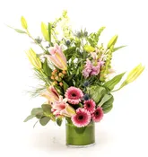 Rio — My Fair Lady's Flowers