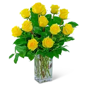 Yellow Roses (12)