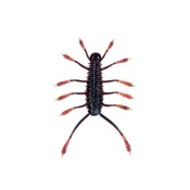 6TH SENSE HUZZBUG